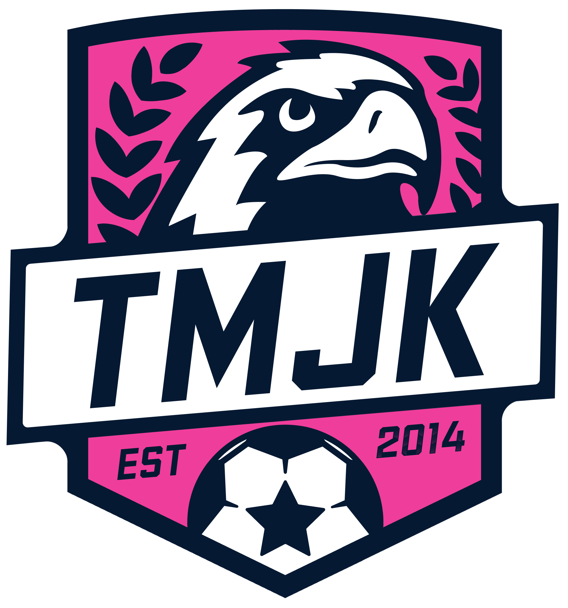 Team Logo
